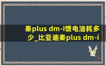 秦plus dm-i馈电油耗多少_比亚迪秦plus dm-i价格